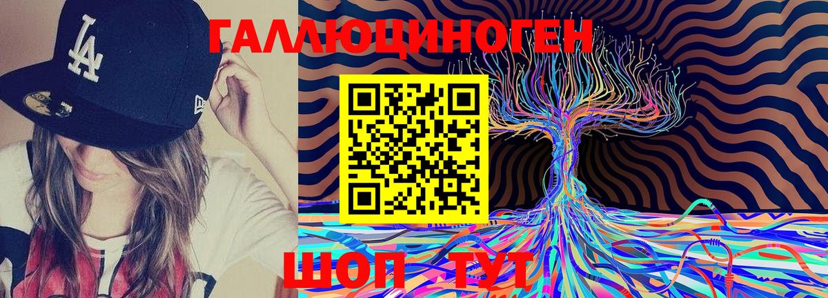 Псилоцибиновые грибы прущие грибы Богородск