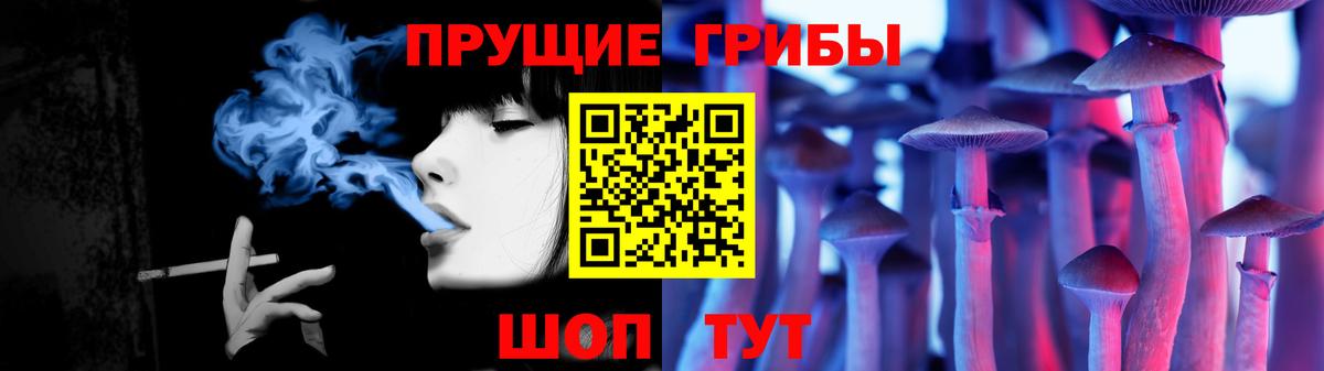 Галлюциногенные грибы GOLDEN TEACHER  Вход с VPN  Галлюциногенные грибы MAGIC MUSHROOMS  Богородск 
