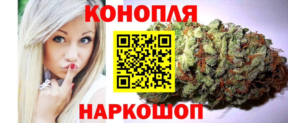 Каннабис план  Конопля AK-47  Бошки Шишки конопля  Шишки марихуана сатива  Богородск  Вход с VPN 